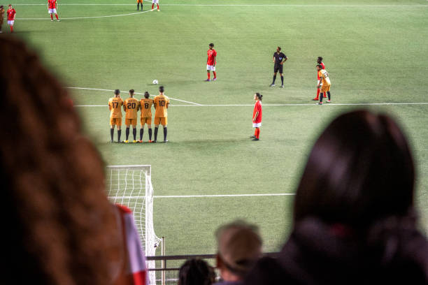 典型例子包 典型例子包